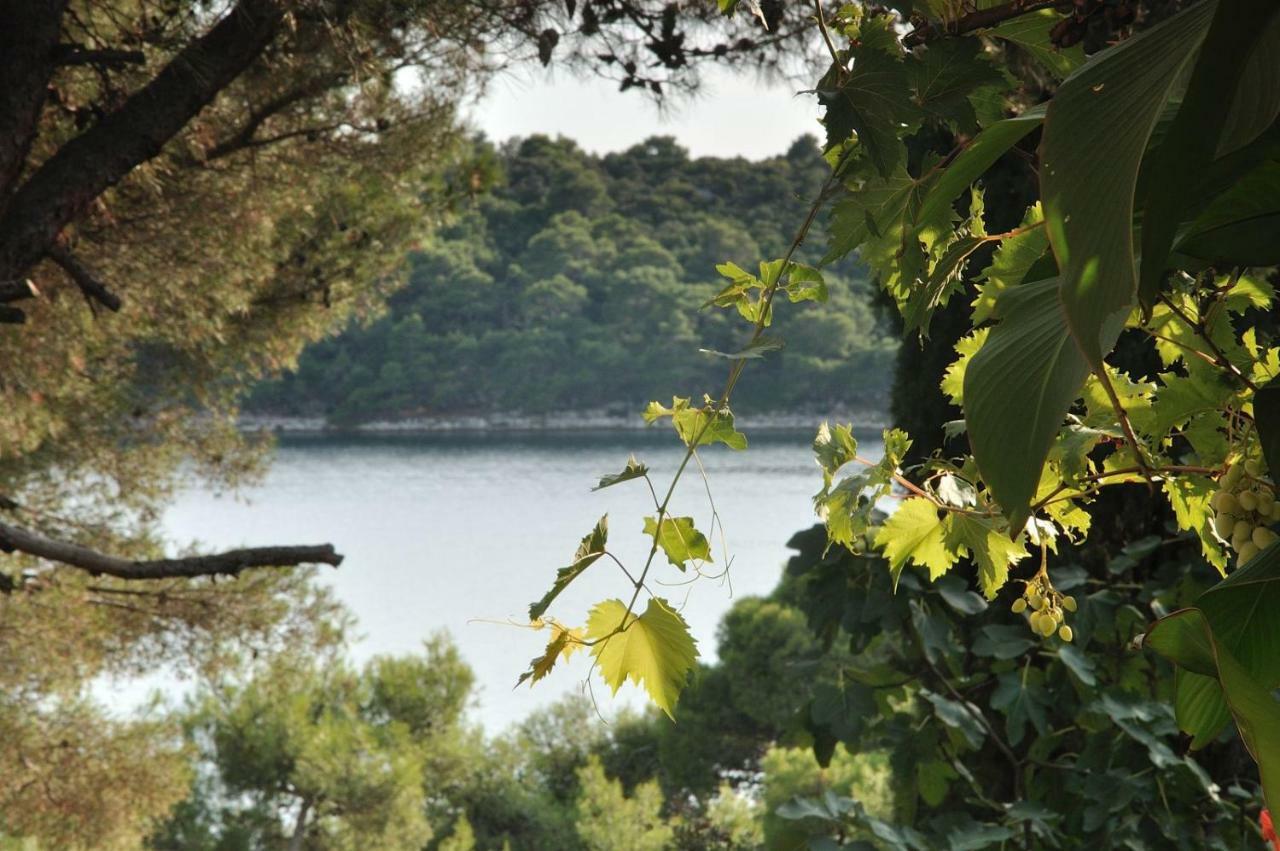 Apartamento Luka Mali Lošinj Exterior foto